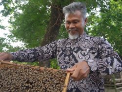 Yani Edi Wibawa Dukung Pengembangan Budidaya Lebah Madu Milik Warganya Untuk Lebih Ditingkatkan Lagi